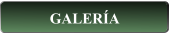 GALERÍA