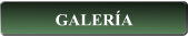 GALERÍA