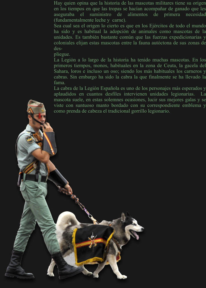 Hay quien opina que la historia de las mascotas militares tiene su origen en los tiempos en que las tropas se hacían acompañar de ganado que les aseguraba el suministro de alimentos de primera necesidad (fundamentalmente leche y  carne).   Sea cual sea el origen lo cierto es que en los Ejércitos de todo el mundo ha sido y es habitual la adopción de animales como mascotas de la unidades. Es también bastante común que las fuerzas expedicionarias y coloniales elijan estas mascotas entre la fauna autóctona de sus zonas de des- pliegue.  La Legión a lo largo de la historia ha tenido muchas mascotas. En los primeros tiempos, monos, habituales en la zona de Ceuta, la gacela del Sahara, loros e incluso un oso; siendo los más habituales los carneros y cabras. Sin embargo ha sido la cabra la que finalmente se ha llevado la fama.  La cabra de la Legión Española es uno de los personajes más esperados y aplaudidos en cuantos desfiles intervienen unidades legionarias.  La mascota suele, en estas solemnes ocasiones, lucir sus mejores galas y se viste con suntuoso manto bordado con su correspondiente emblema y como prenda de cabeza el tradicional gorrillo legionario.